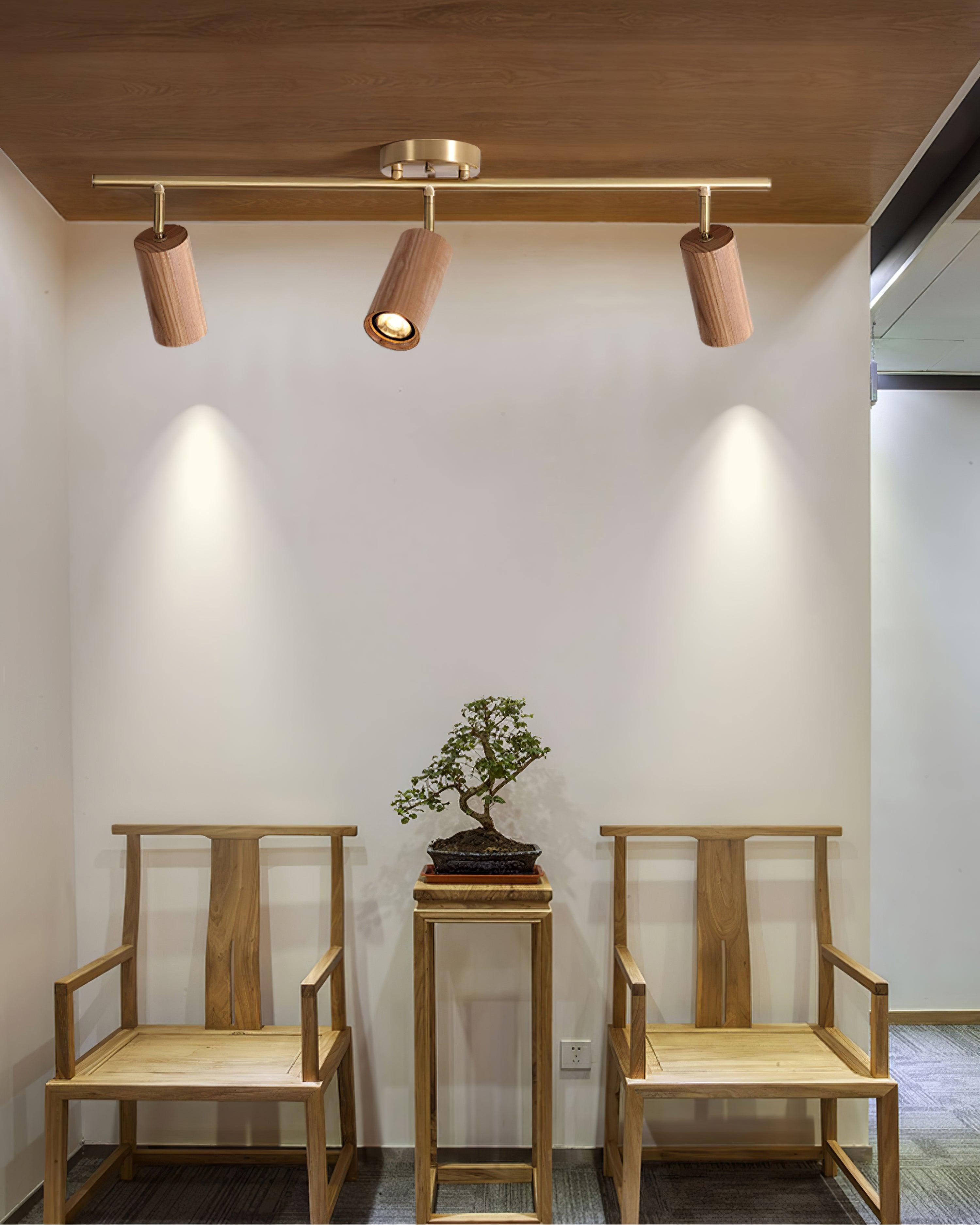 Liora Plafonnier sur Rail en Bois