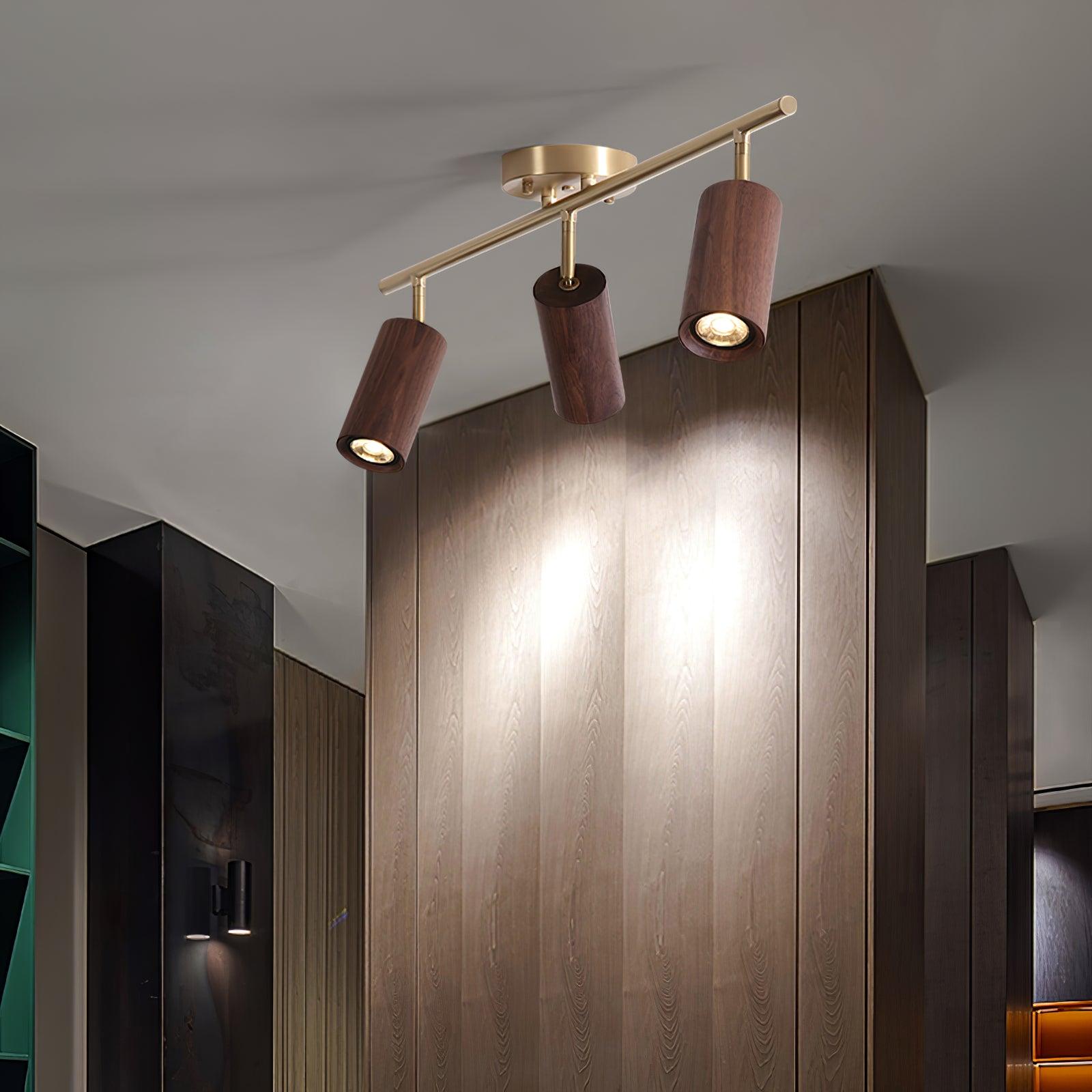 Liora Plafonnier sur Rail en Bois