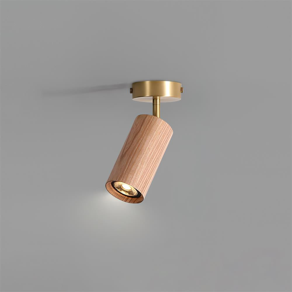 Liora Plafonnier sur Rail en Bois