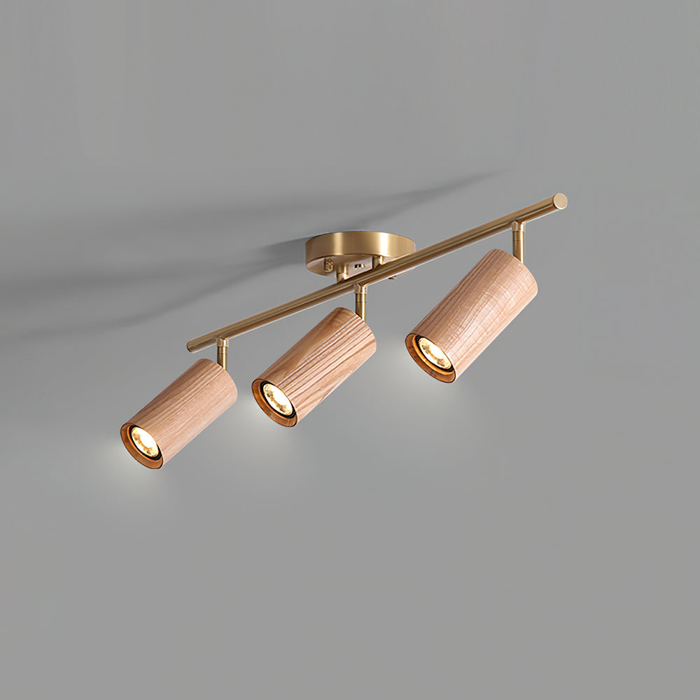 Liora Plafonnier sur Rail en Bois