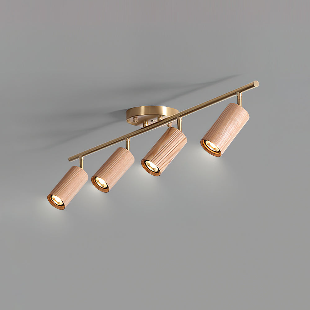 Liora Plafonnier sur Rail en Bois