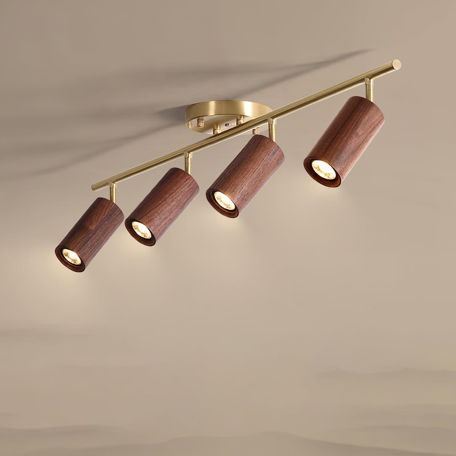 Liora Plafonnier sur Rail en Bois