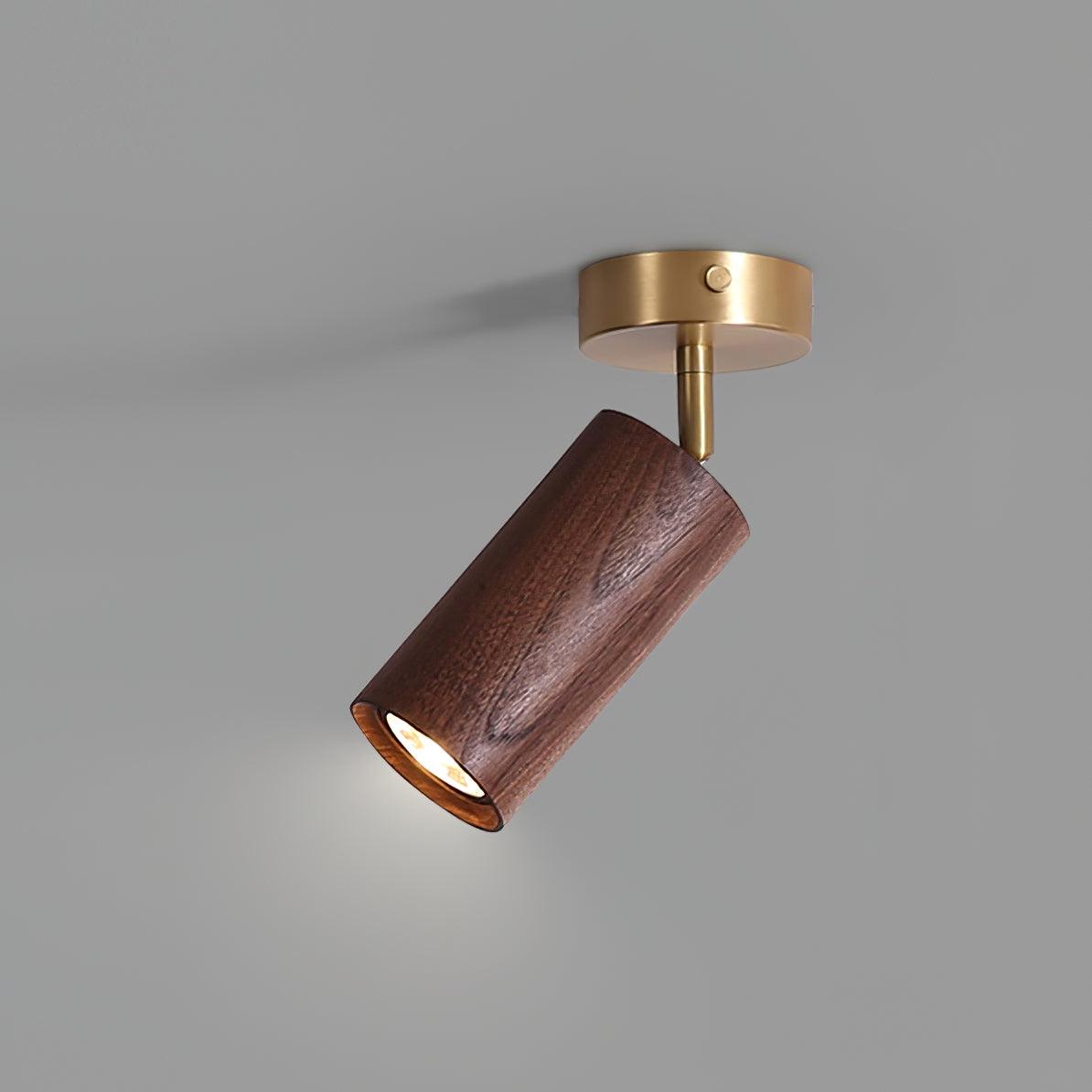 Liora Plafonnier sur Rail en Bois