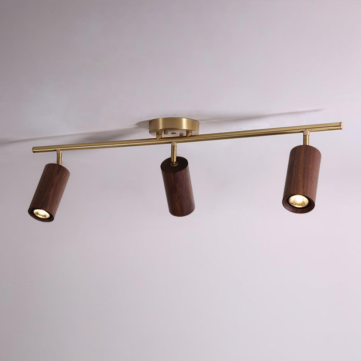 Liora Plafonnier sur Rail en Bois