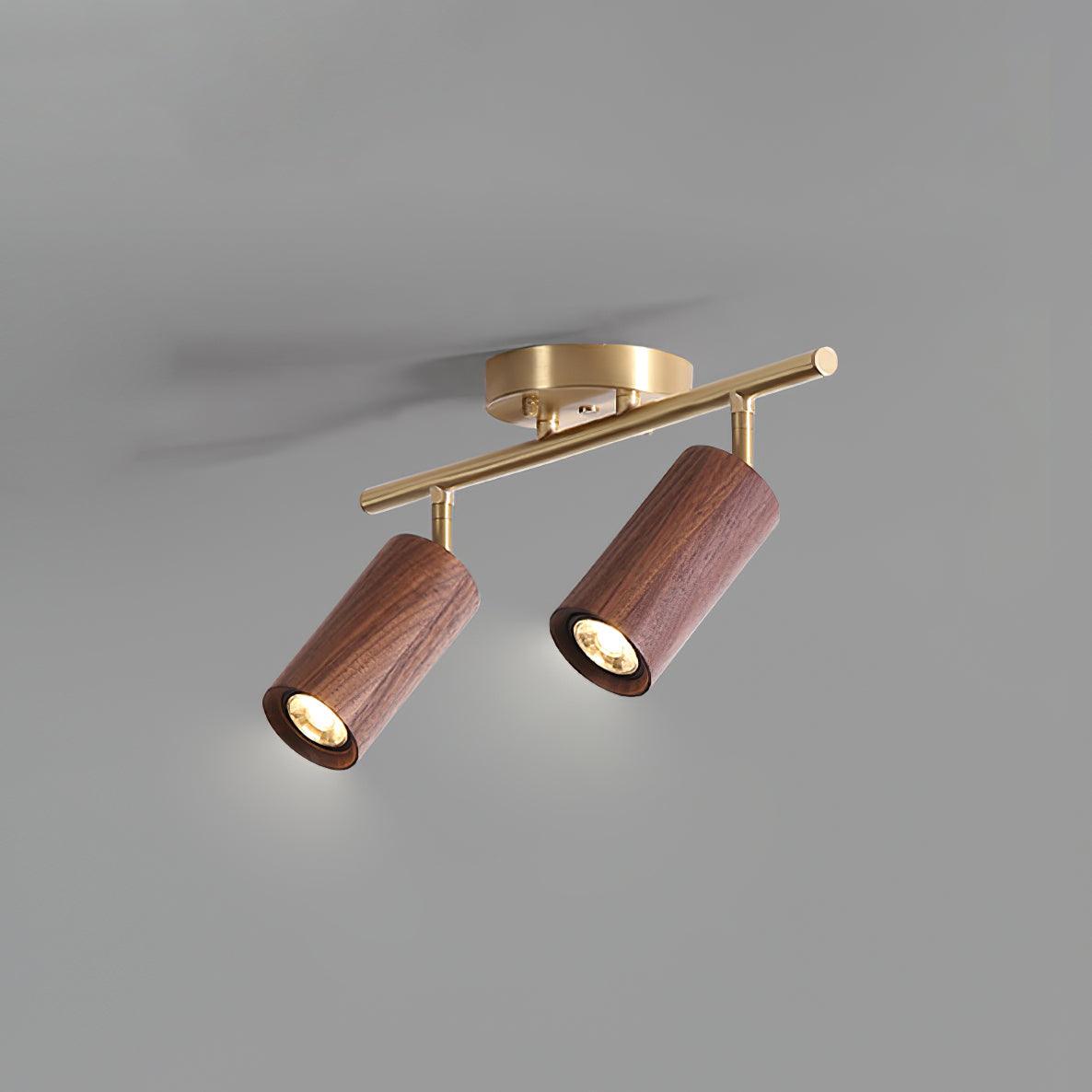 Liora Plafonnier sur Rail en Bois