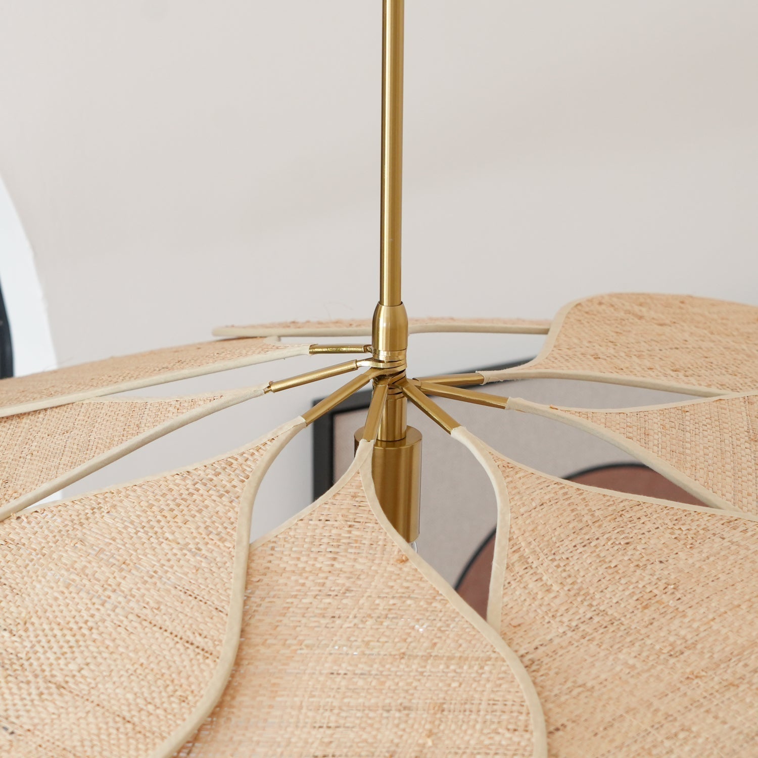 Tory Floraison Rotin Suspension
