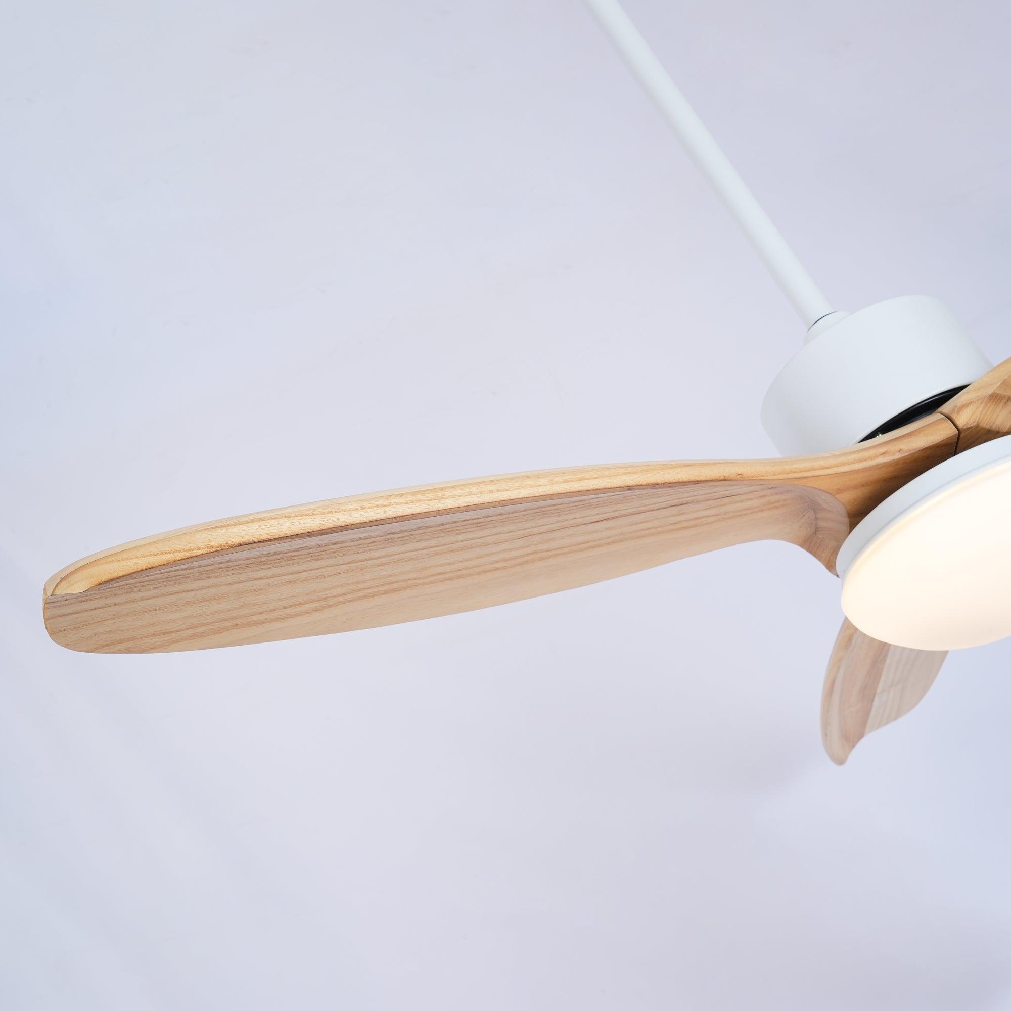 Utalis Plafonnier Ventilateur Naturel Élégant
