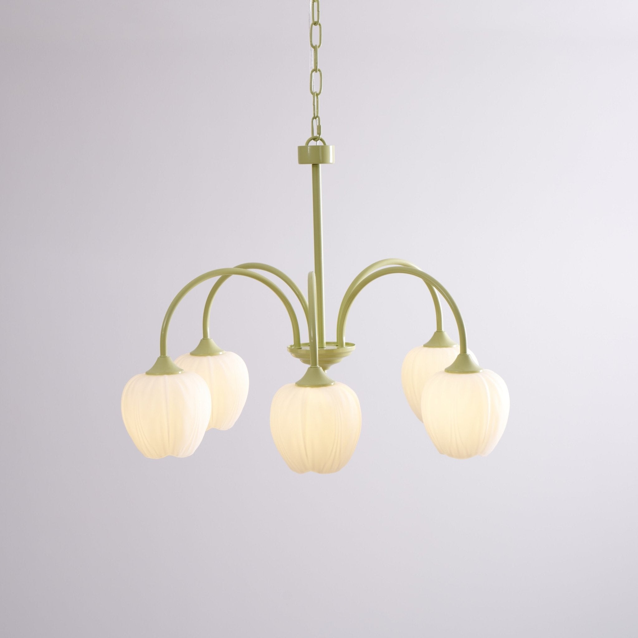 Lustra Lustre Tulipe en Verre Matcha