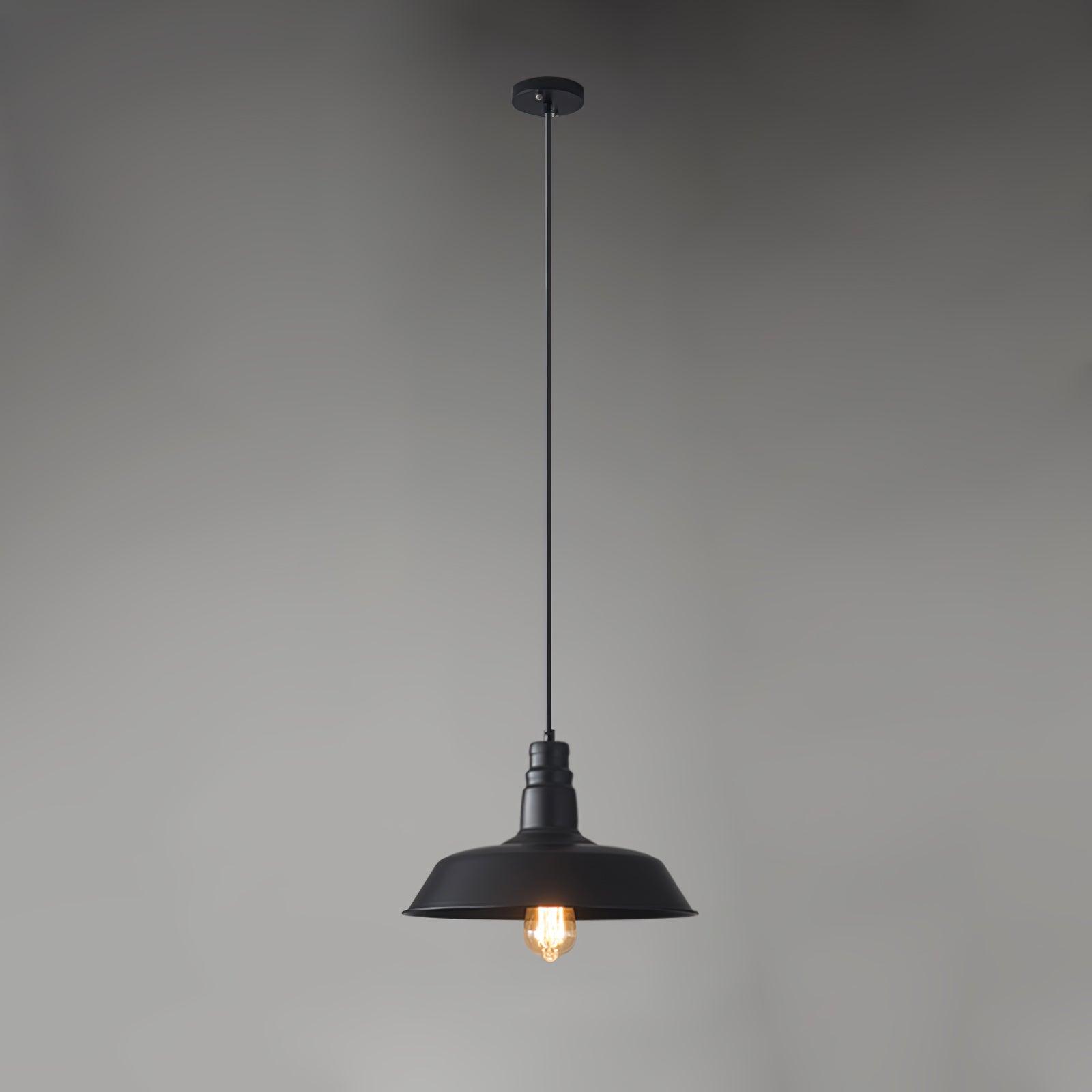 Solenia Lampe Suspendue Industrielle Vintage