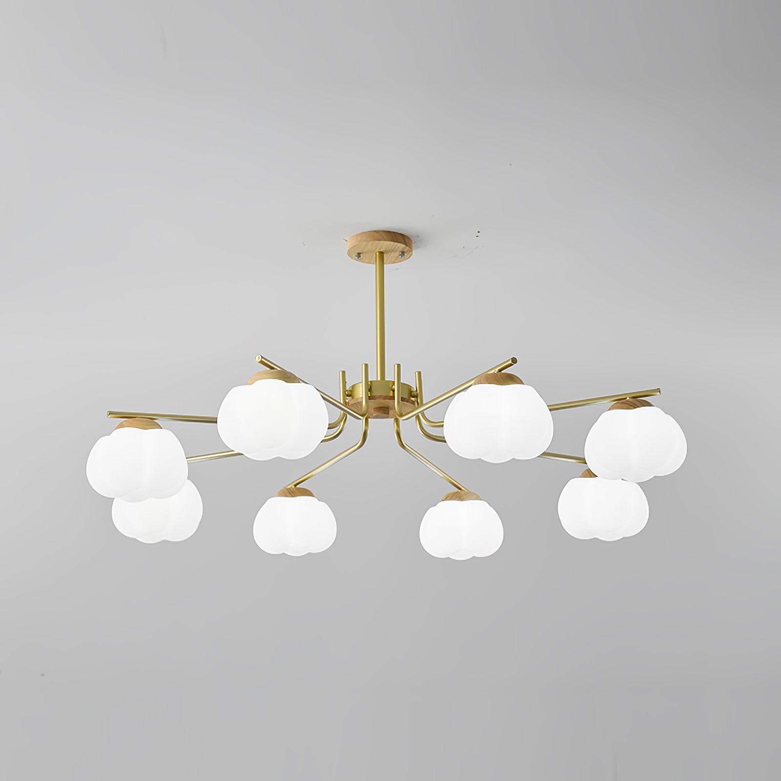 Cohen Lustre Moderne