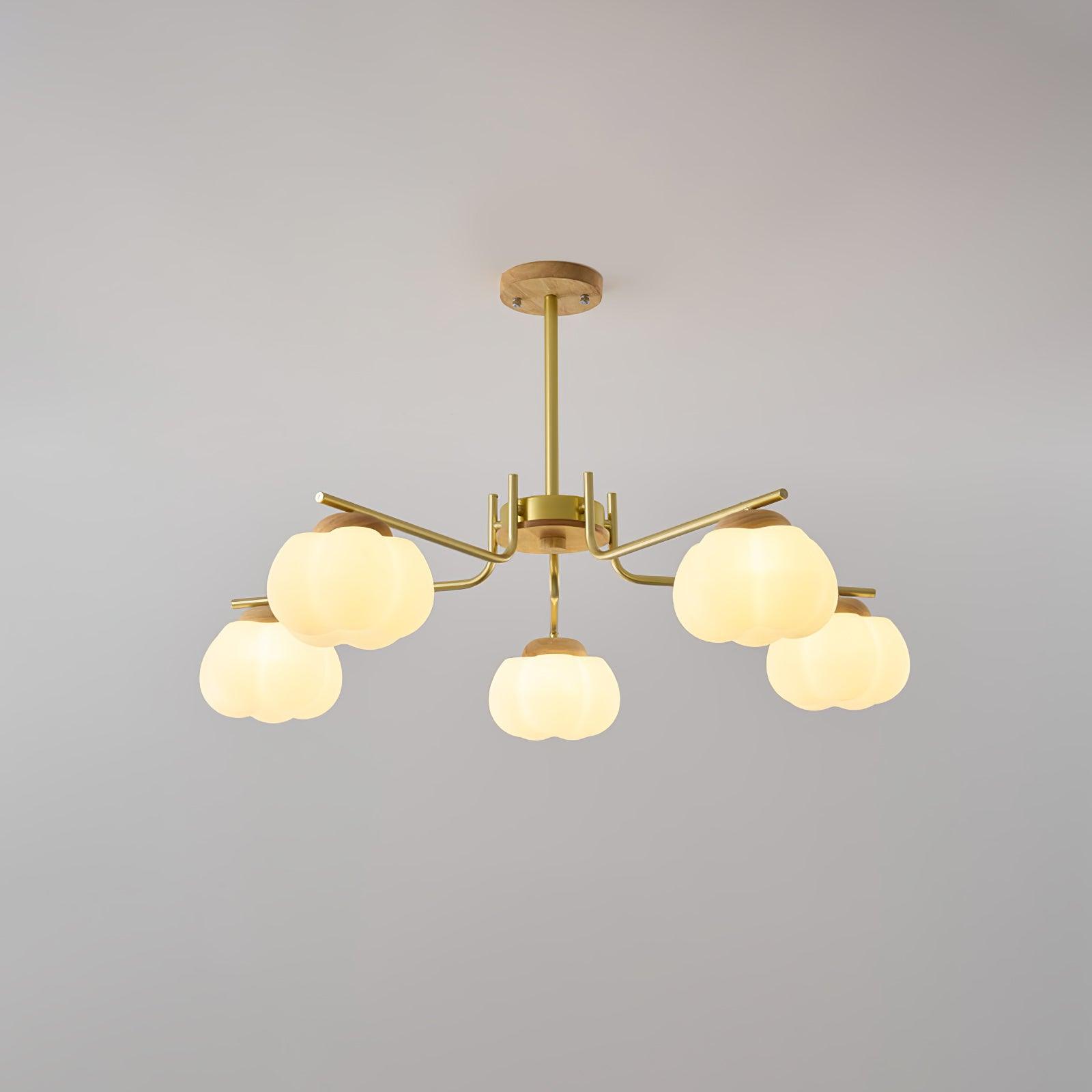 Cohen Lustre Moderne