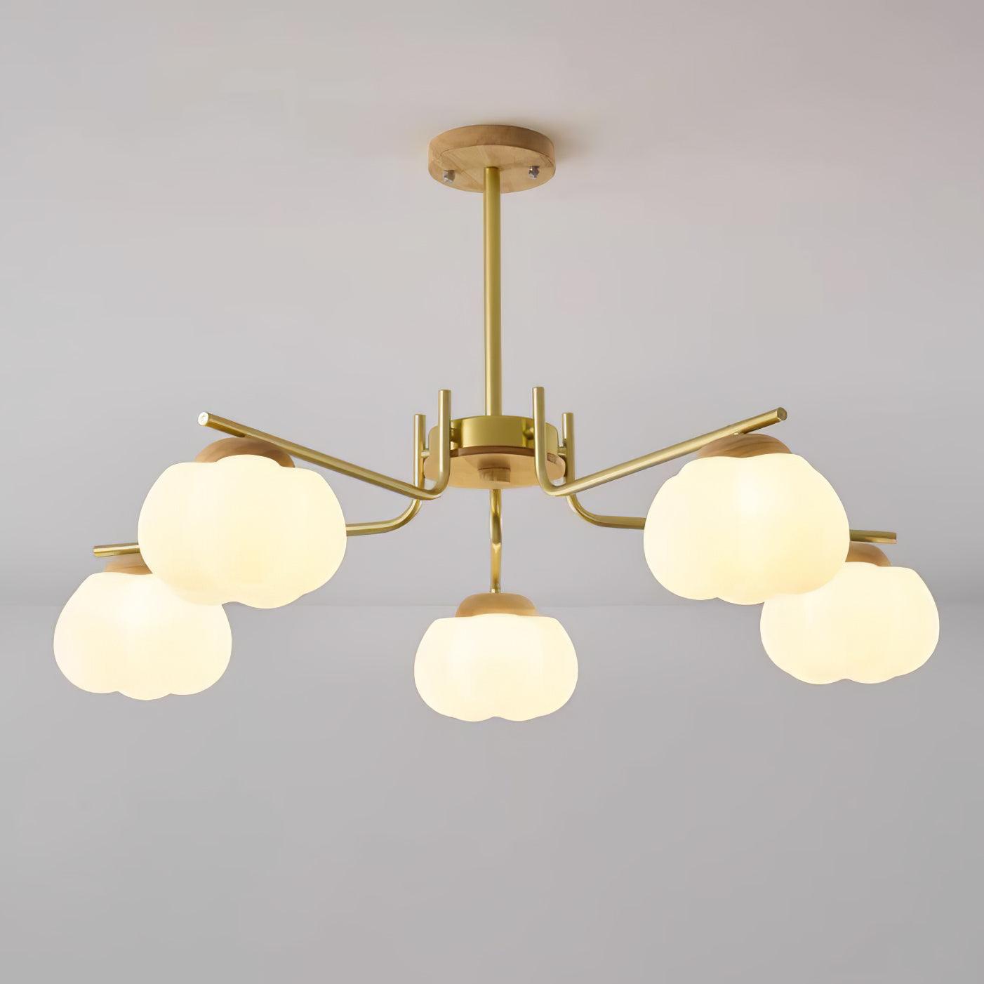 Cohen Lustre Moderne