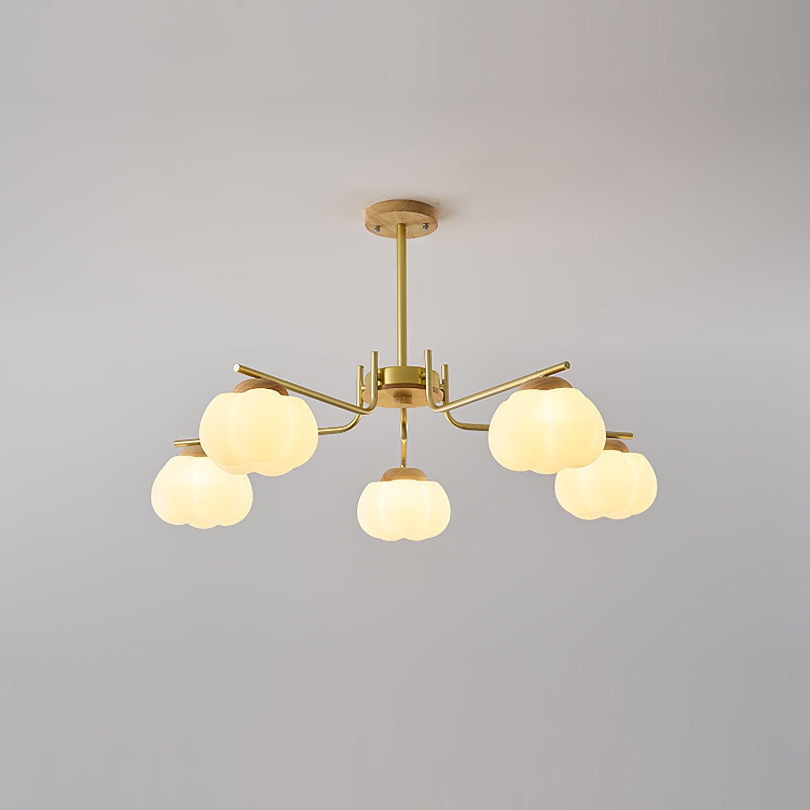 Cohen Lustre Moderne