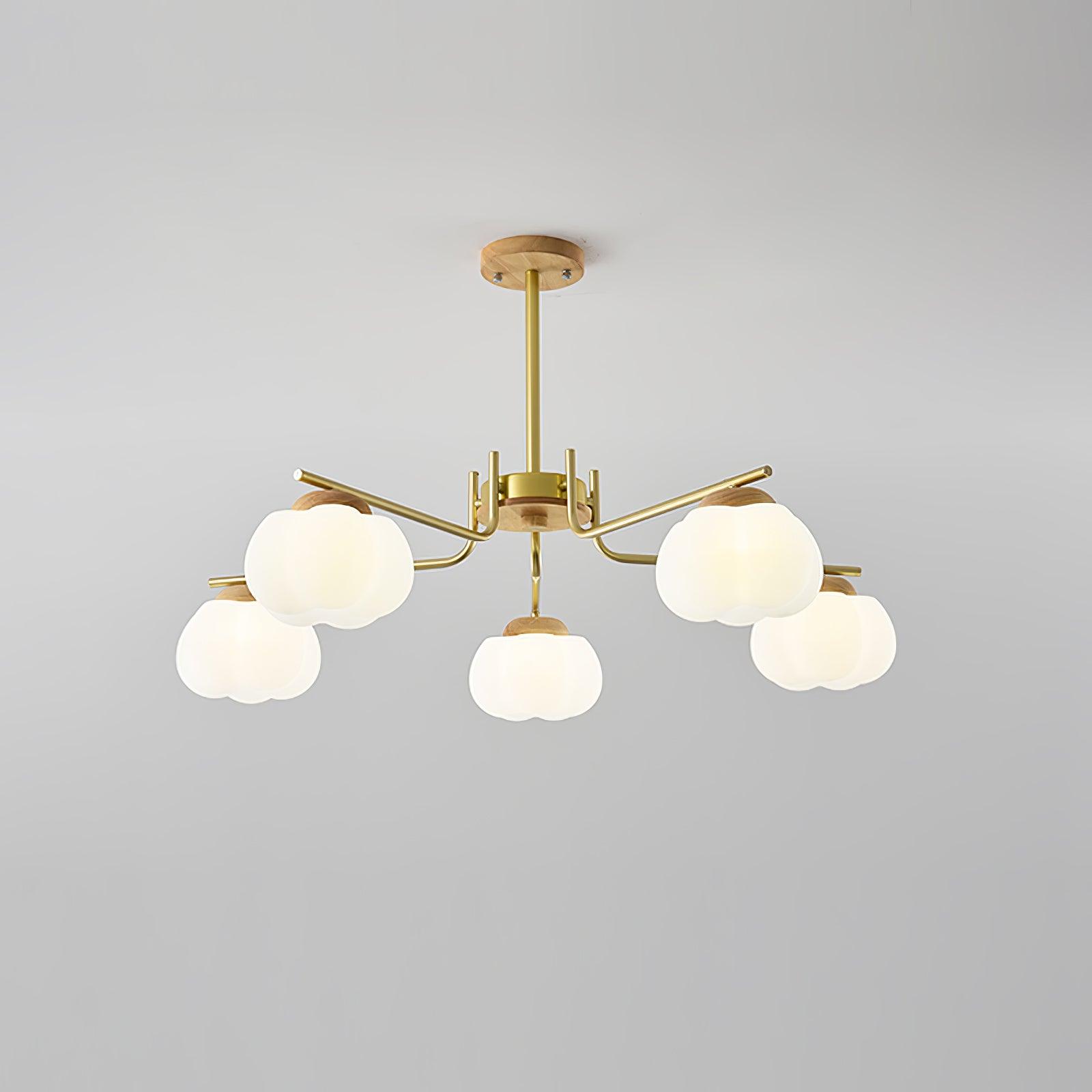 Cohen Lustre Moderne