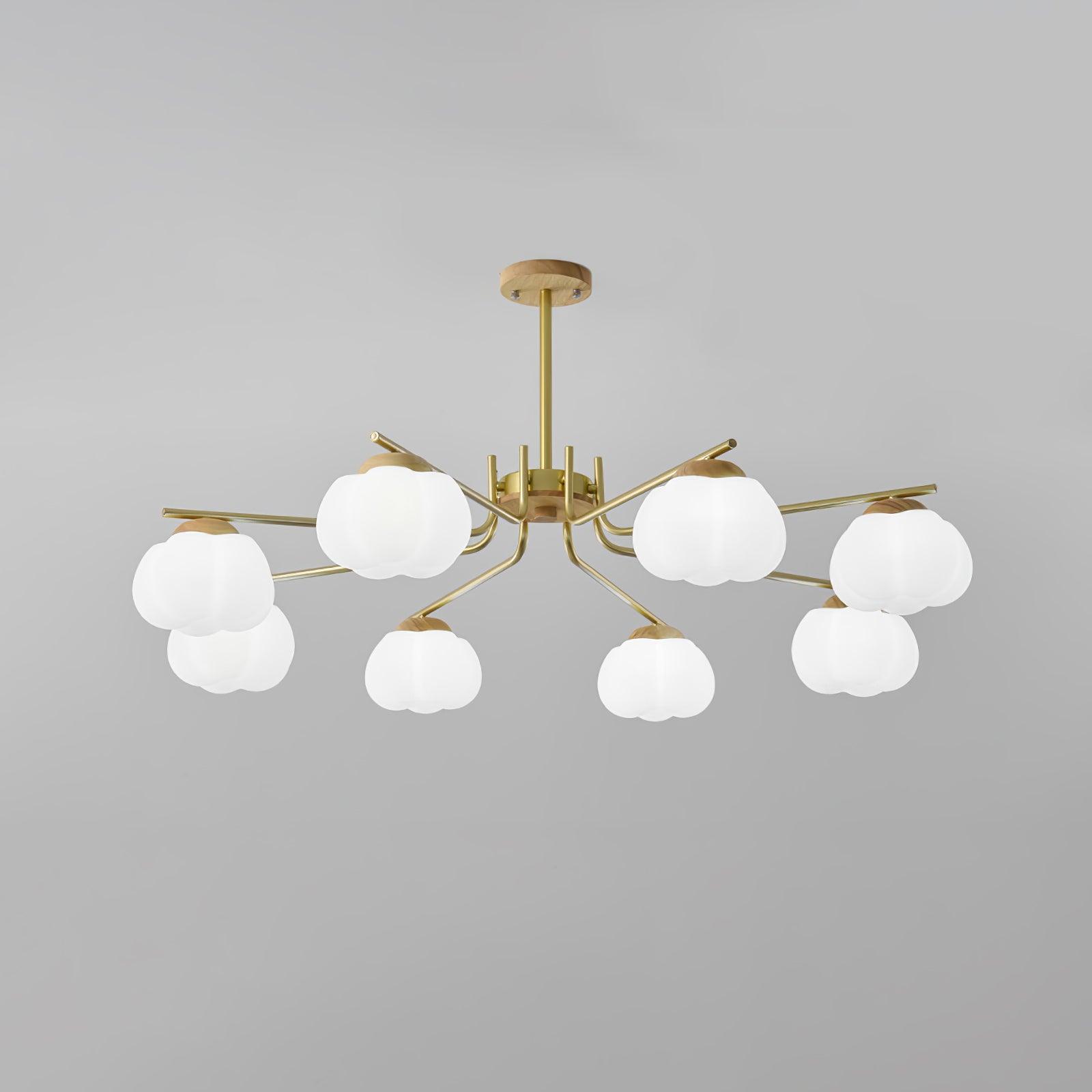 Cohen Lustre Moderne