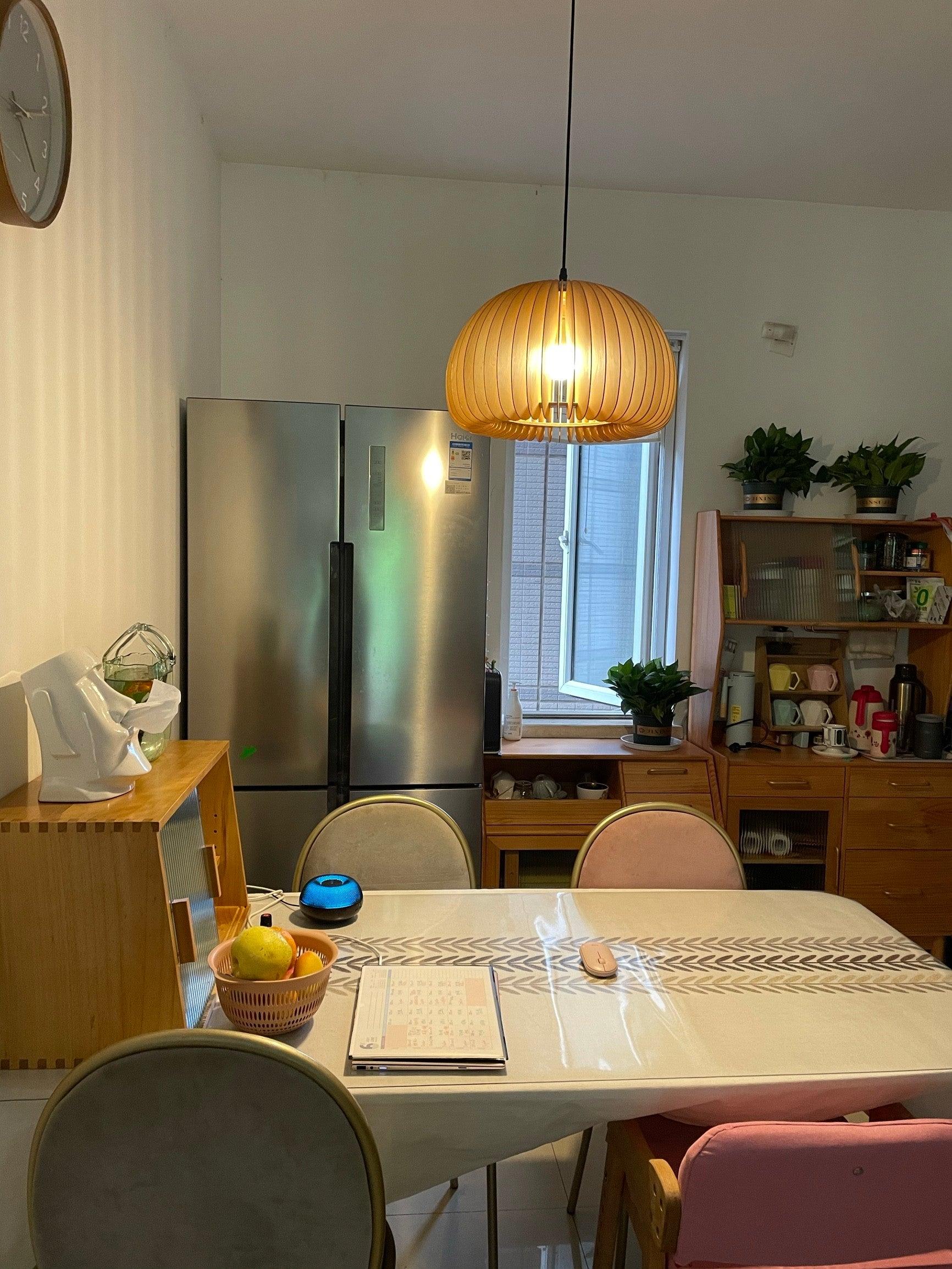 Solara Lampe Suspendue en Bois Dôme Citrouille Nordic