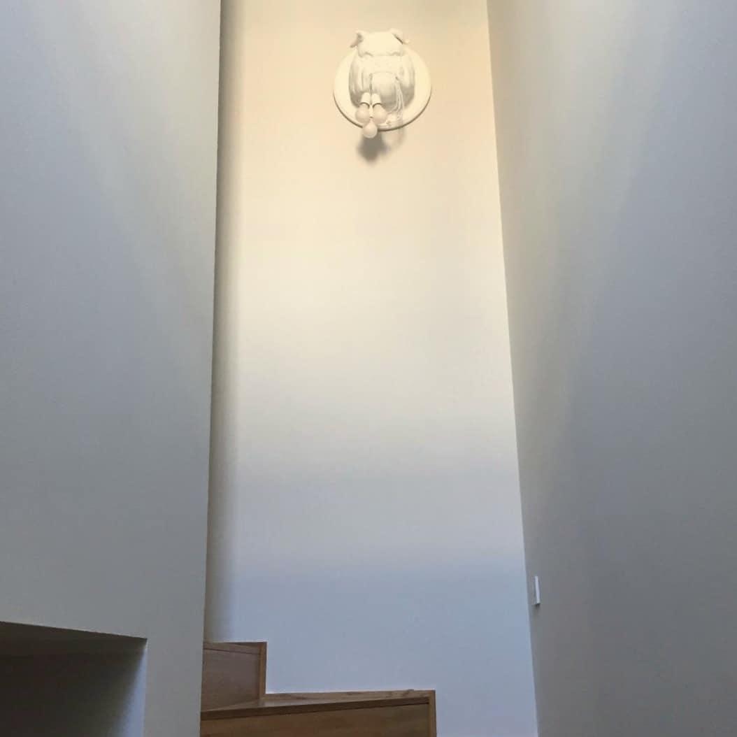 Lustra Applique Murale Sculpture Bulldog Fantaisiste