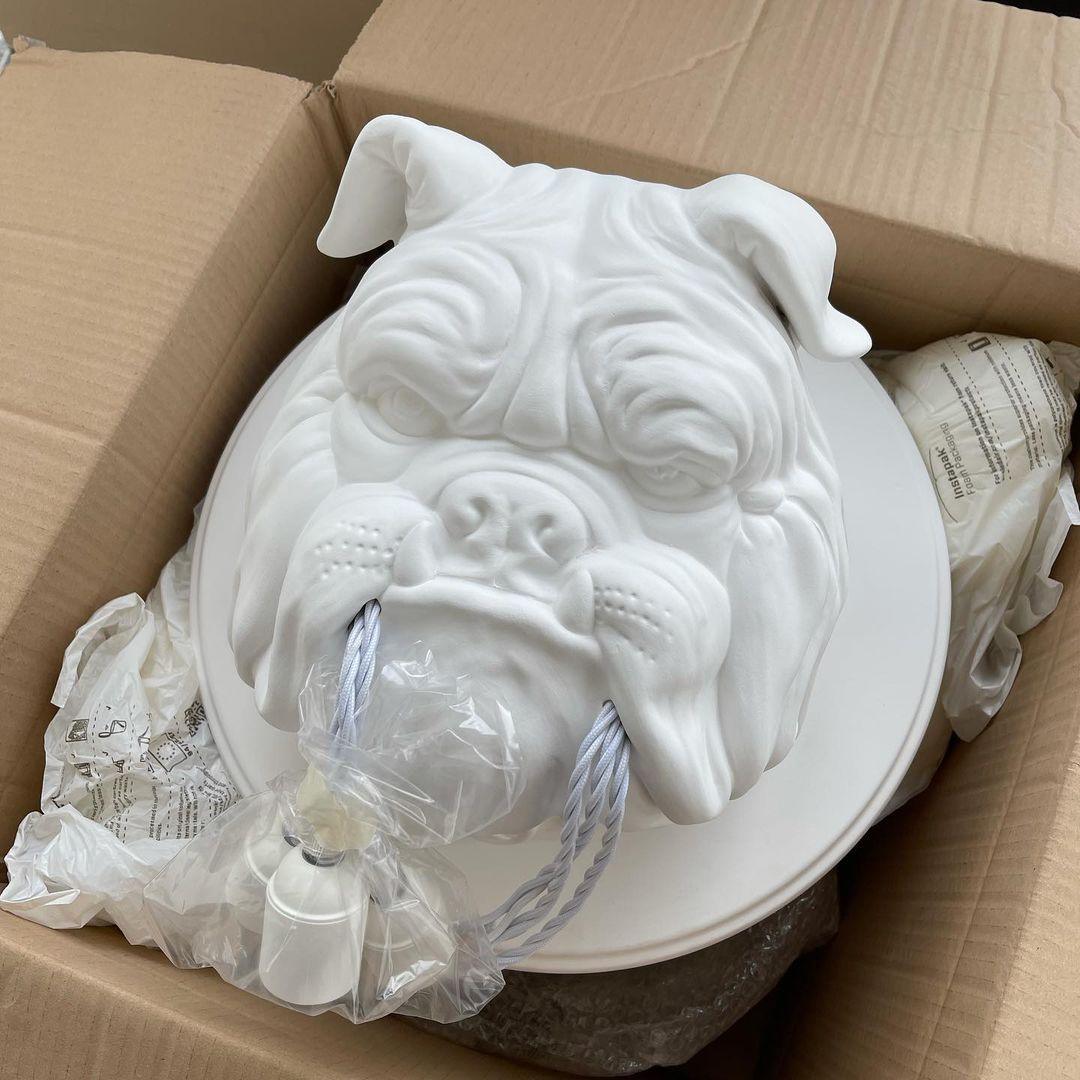 Lustra Applique Murale Sculpture Bulldog Fantaisiste